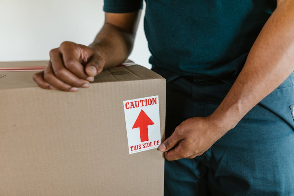 A scene inside a residential property showing two movers during a home relocation, with one mover in the foreground wearing a blue shirt and dark curly hair, holding a large green upholstered sofa. Th